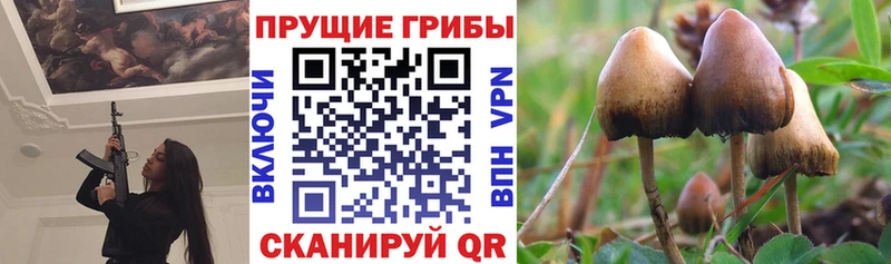 Галлюциногенные грибы Cubensis маркетплейс официальный сайт Харабали